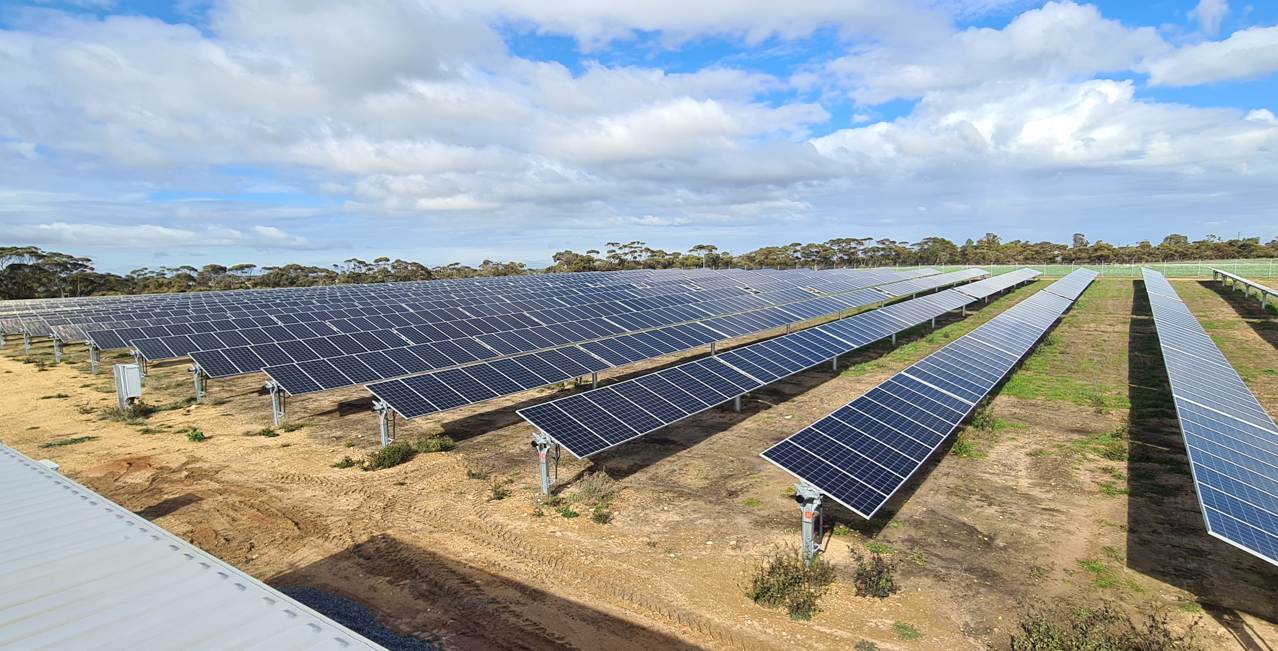coonalpyn solar farm photo